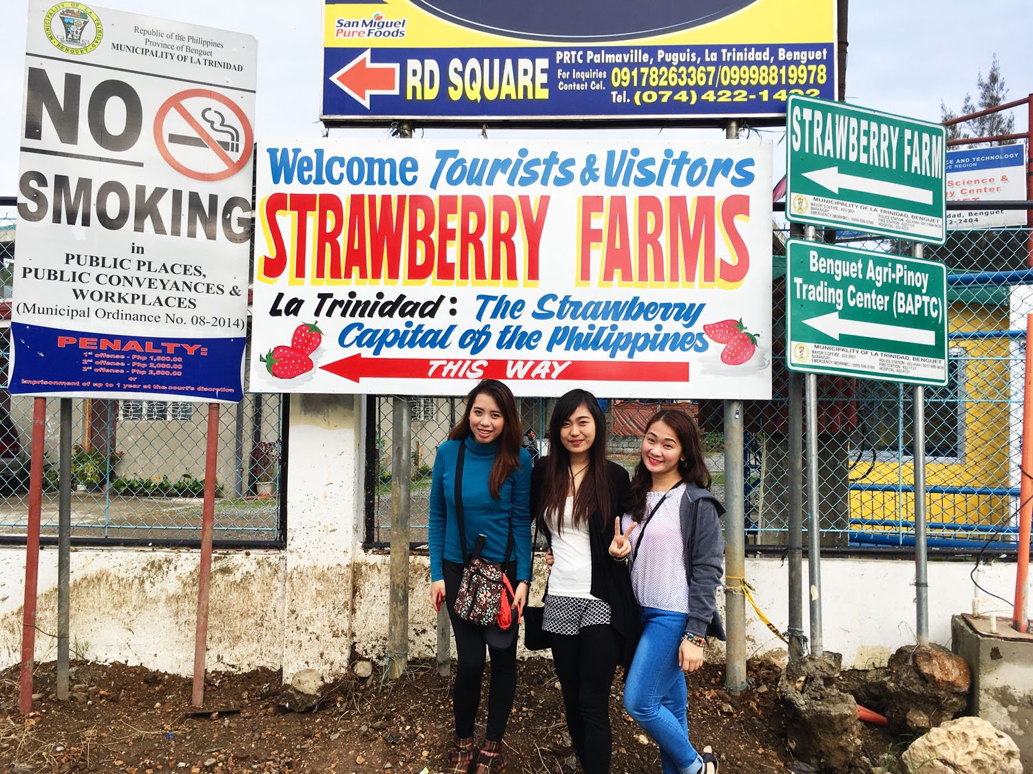Strawberry Farm Baguio Travel Guide 2019 Lost And Wonder