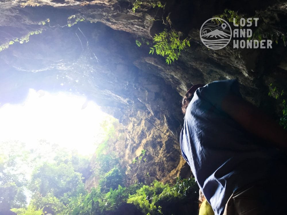 Photos of plant life in Sumaguing Cave entrance