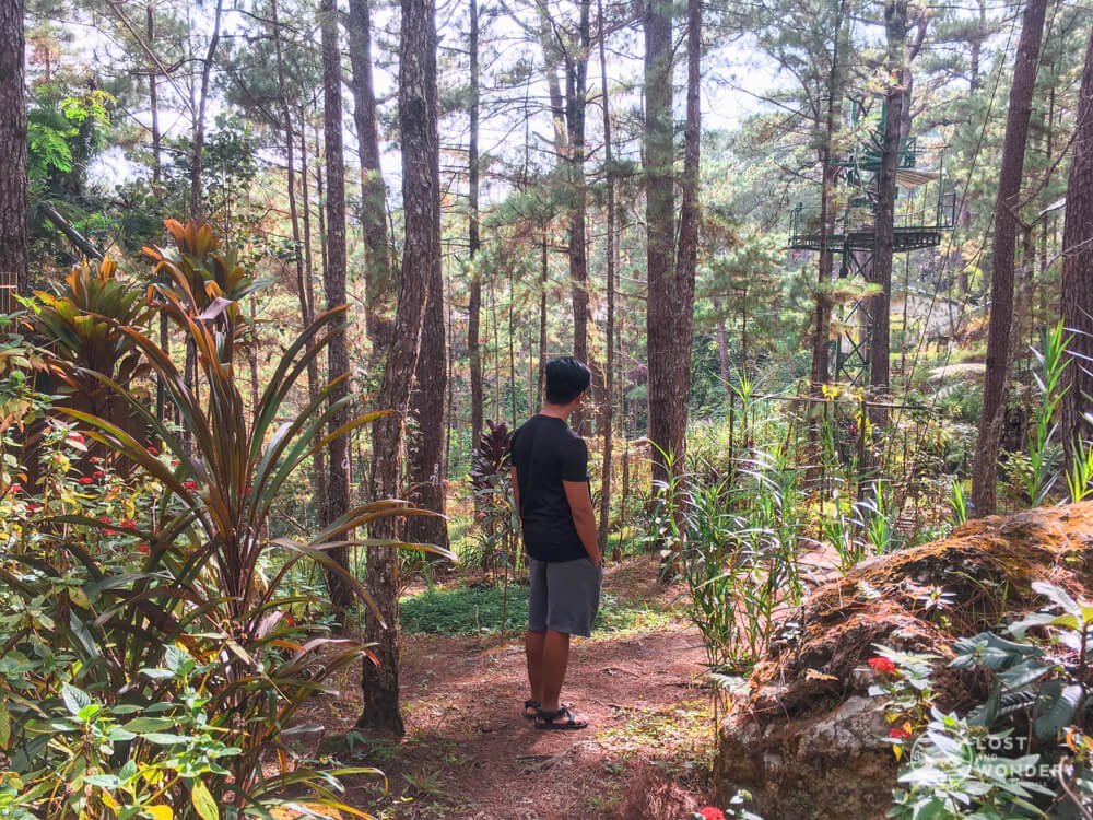 10 Baguio Tourist Spots To Visit 2019 Lost And Wonder