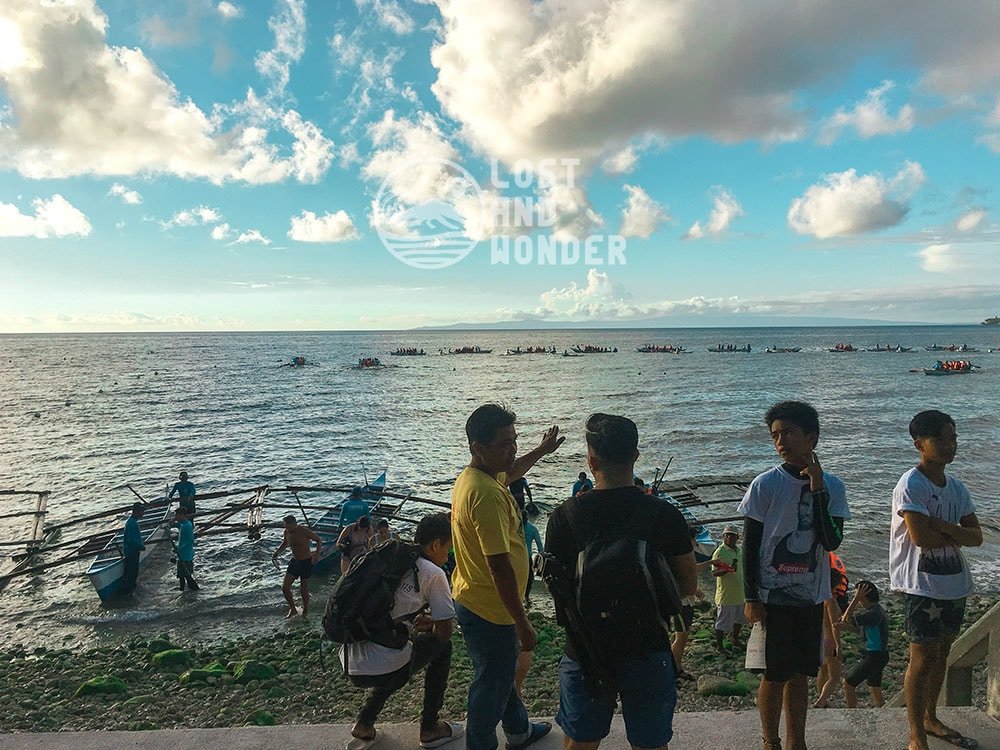 Photo of Oslob Whale Shark Watching in Cebu